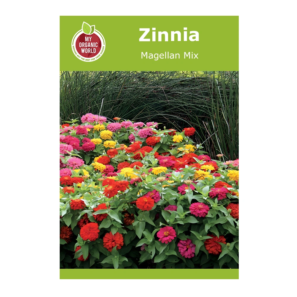 Zinnia Magellan Mix