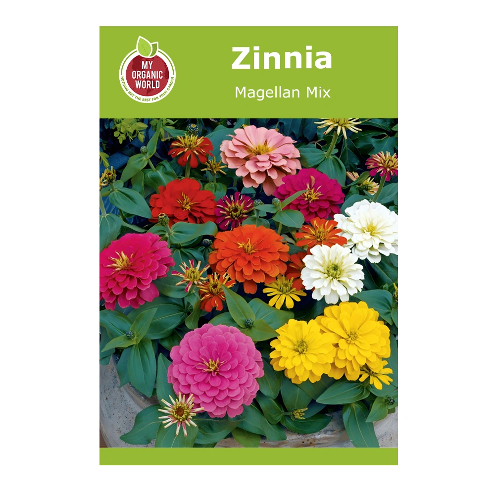 Zinnia Magellan Mix 1 Zinnia Magellan Mix