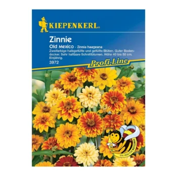 Zinnia Old Mexico