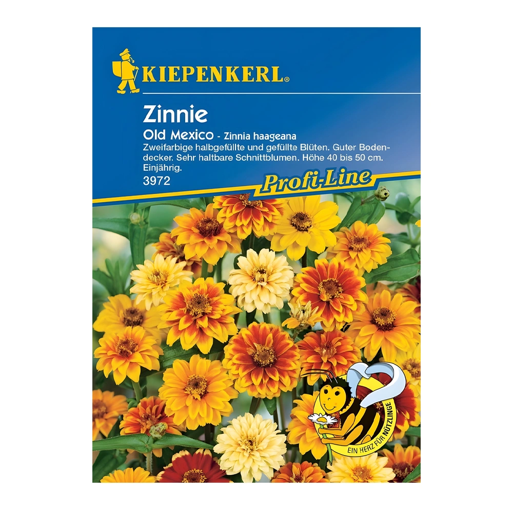 Zinnia Old Mexico