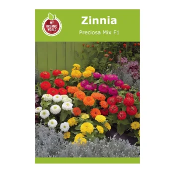 Zinnia Preciosa Mix F1