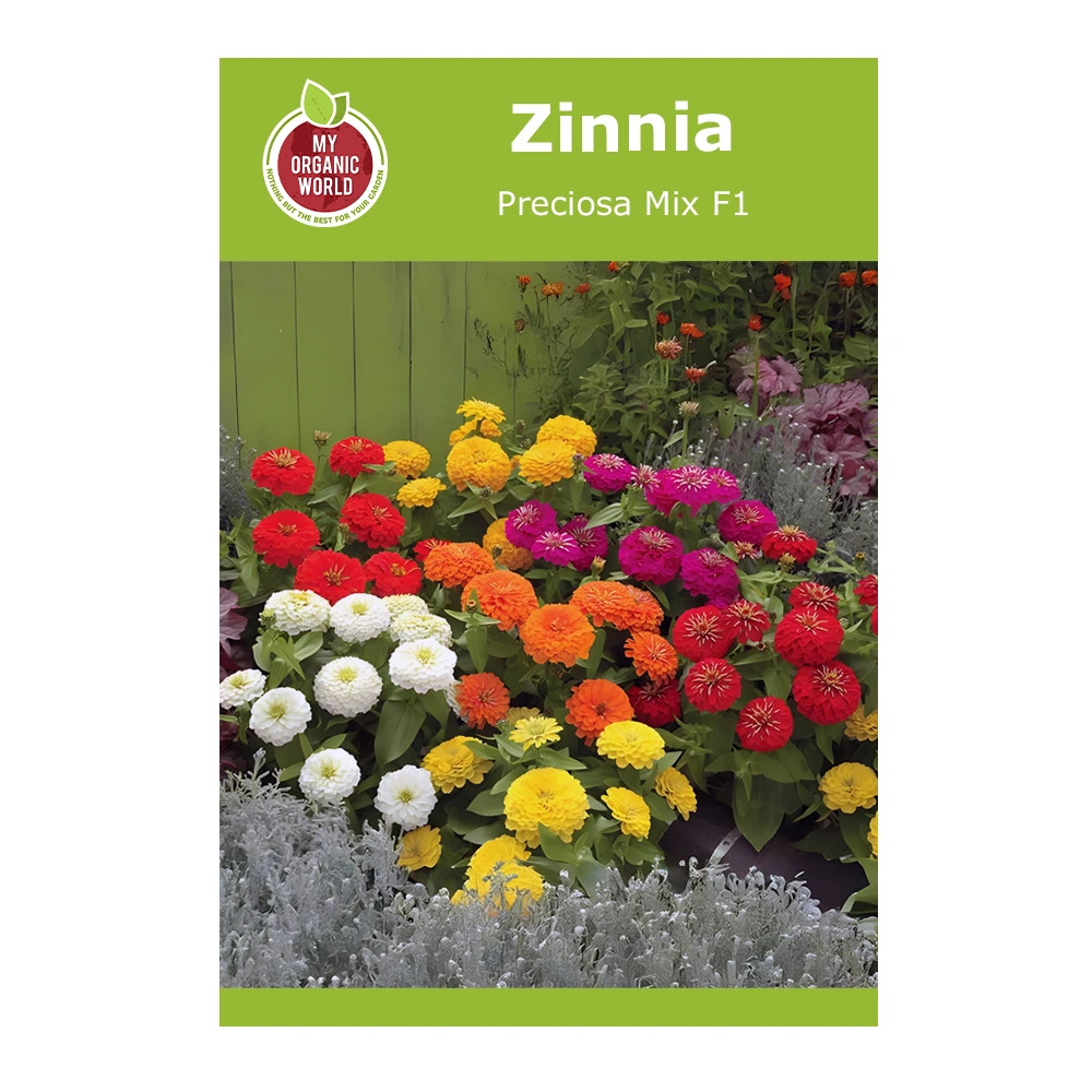 Zinnia Preciosa Mix F1