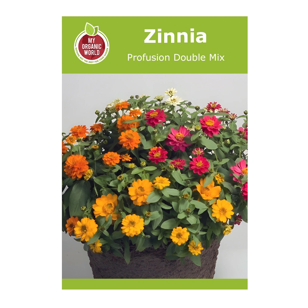 Zinnia Profusion Double Mix