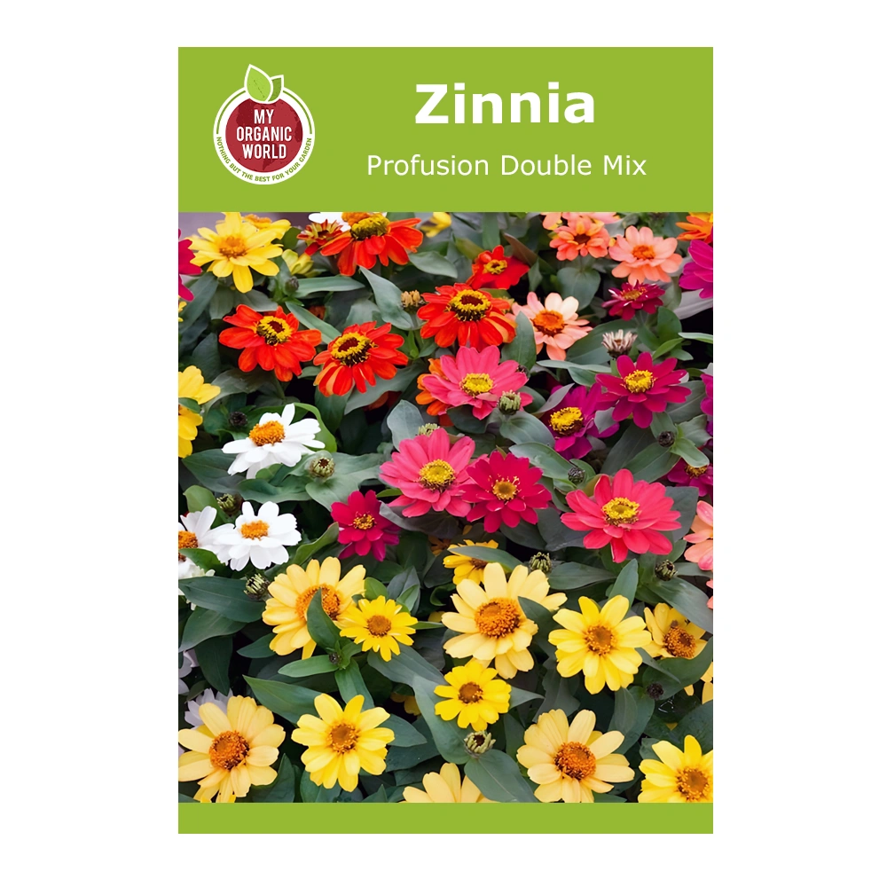 Zinnia Profusion Double Mix 1 Zinnia Profusion Double Mix