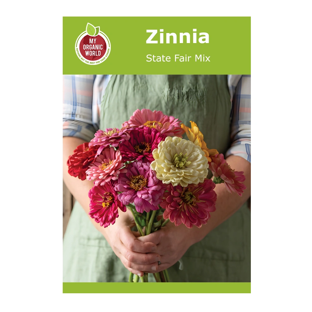 Zinnia State Fair Mix 1 Zinnia State Fair Mix
