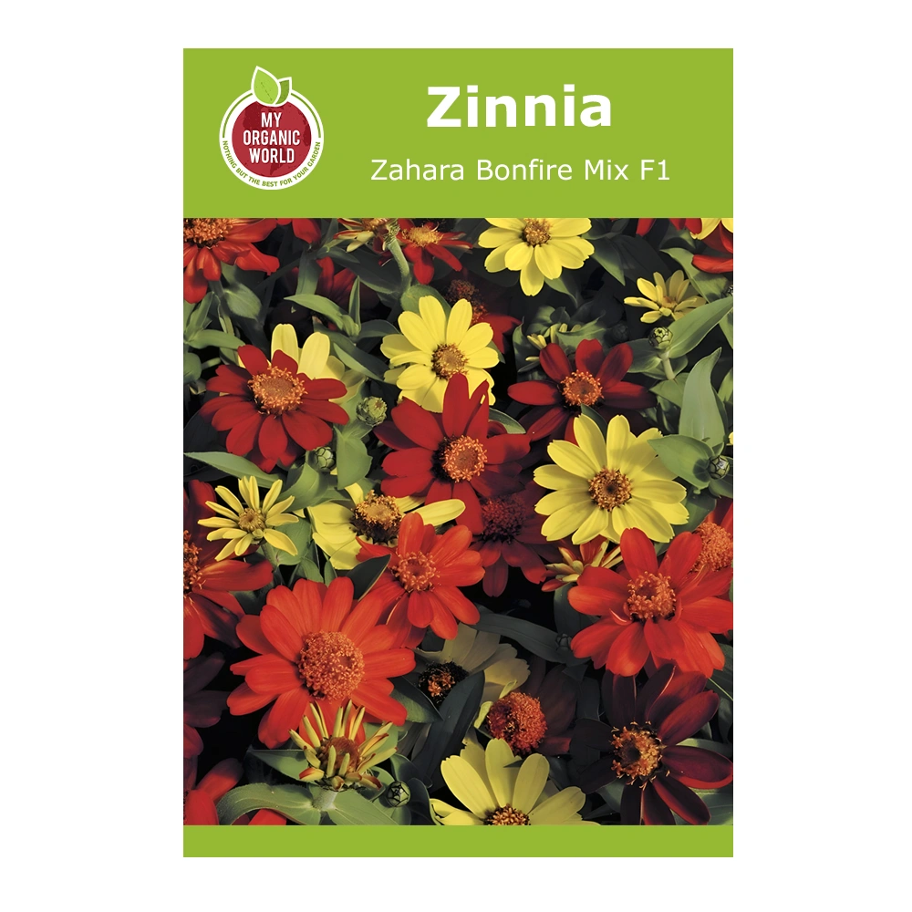 Zinnia Zahara Bonfire Mix F1 1 Zinnia Zahara Bonfire Mix F1