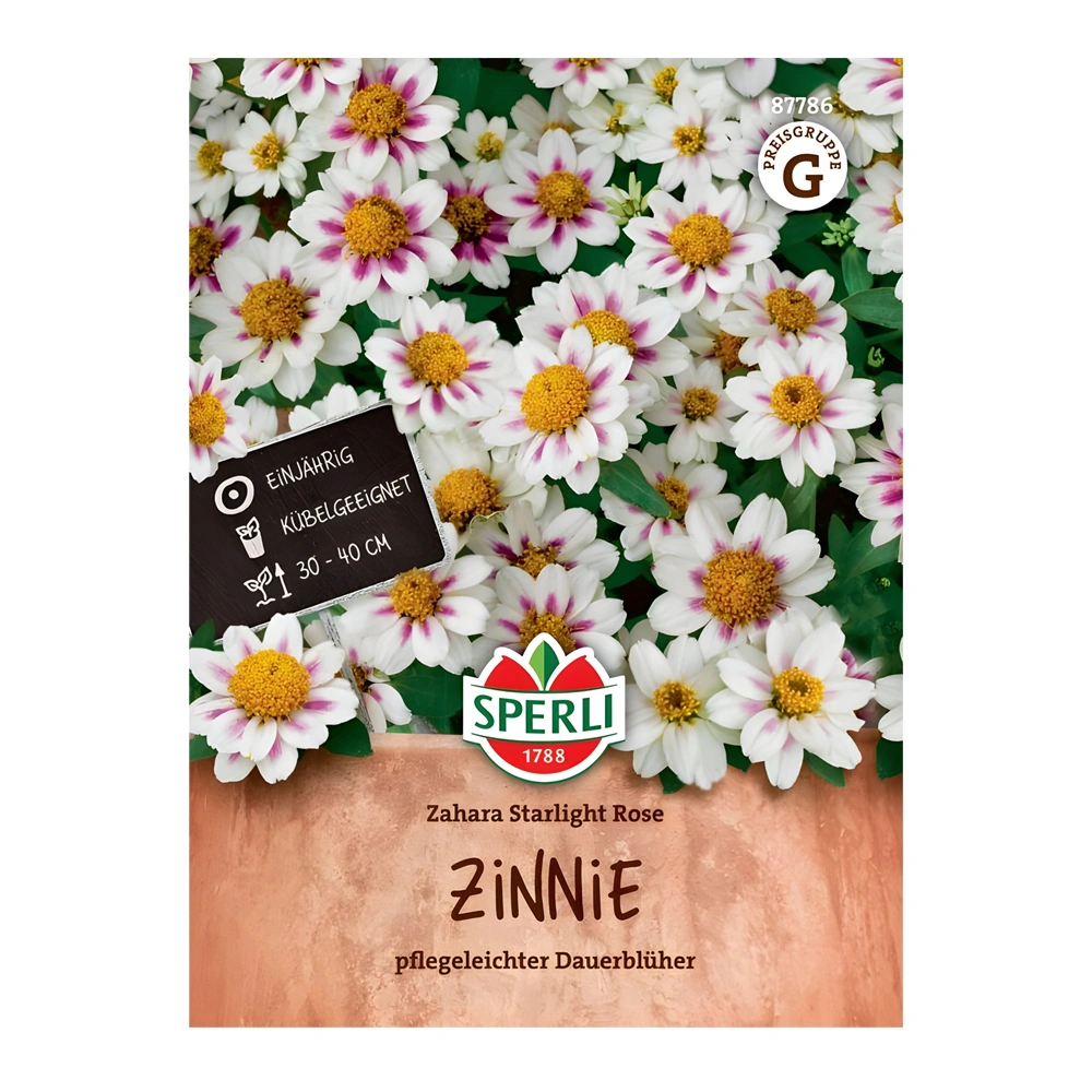 Zinnia Zahara Starlight Rose 1 Zinnia Zahara Starlight Rose