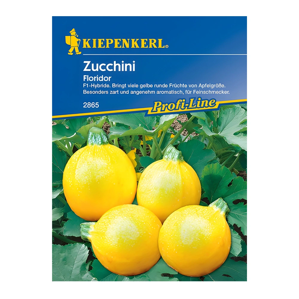Zucchini Floridor F1 1 Zucchini Floridor F1