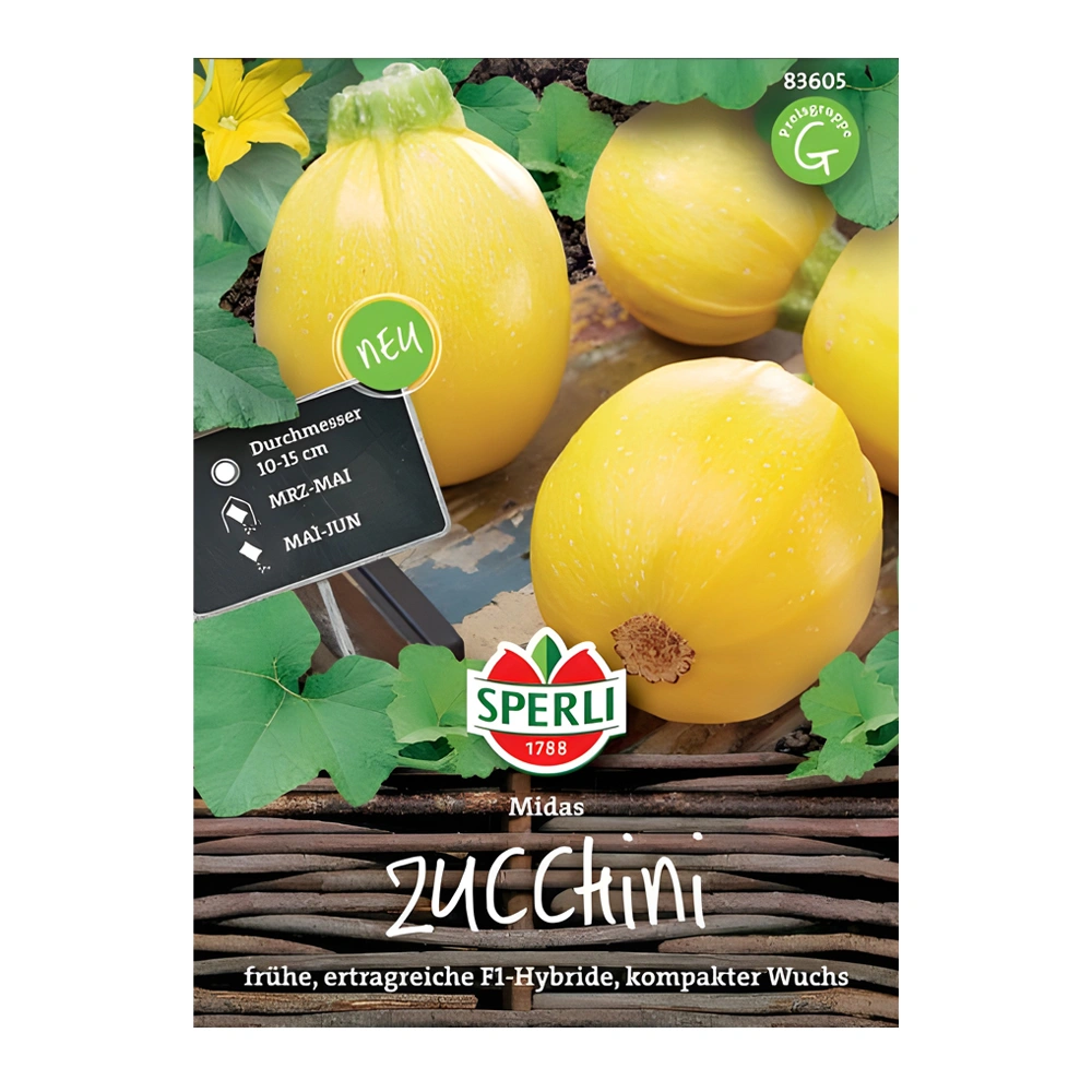 Zucchini Midas F1 1 Zucchini Midas F1