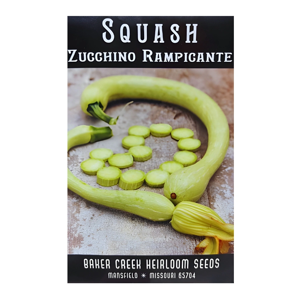 Zucchini Rampicante Squash 1 Zucchini Rampicante Squash seeds