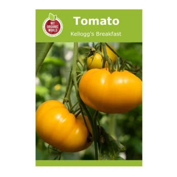 kellogg's breakfast tomato seeds