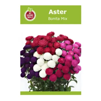 Aster Bonita Mix