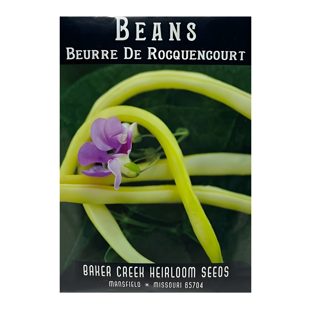Bean Beurre De Rocquencourt 1 Bean Beurre De Rocquencourt