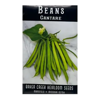 Bean Cantare