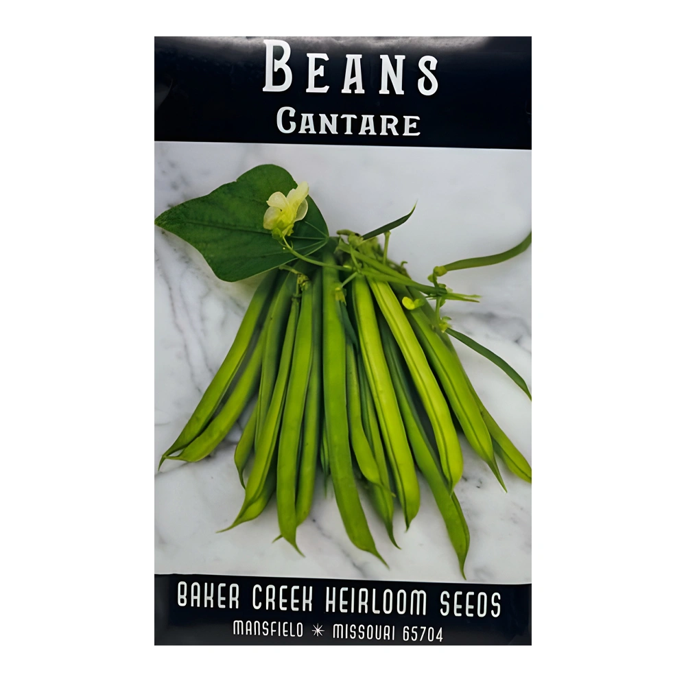 Bean Cantare 1 Bean Cantare