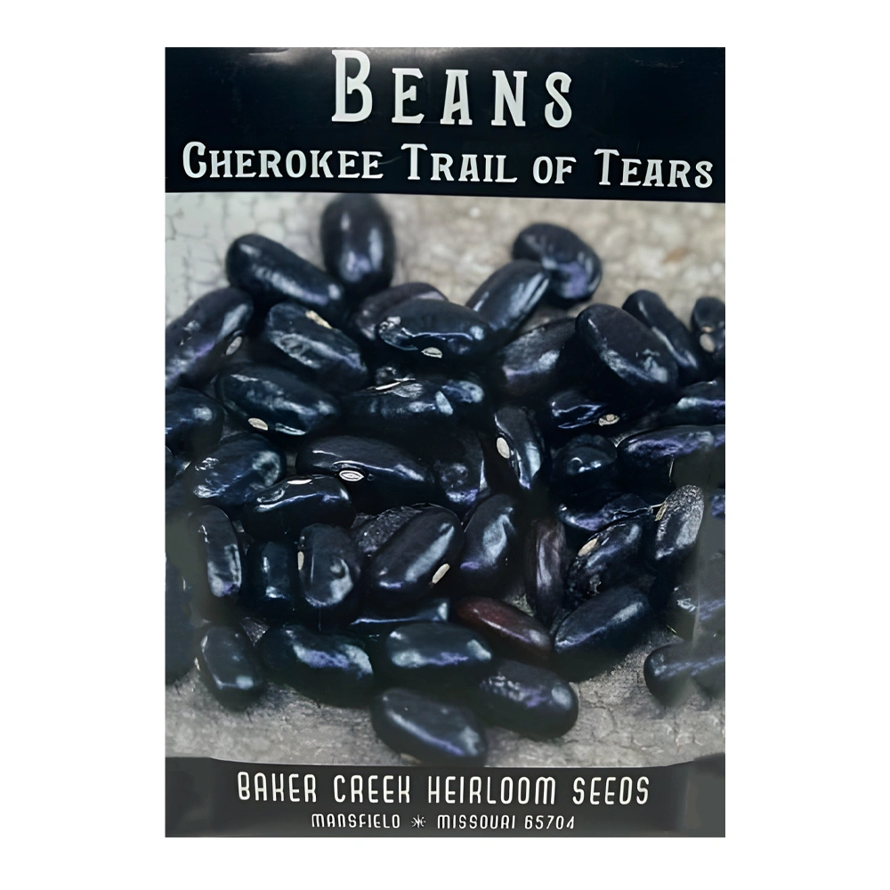 Bean Cherokee Trail of Tears 1 Bean Cherokee Trail of Tears
