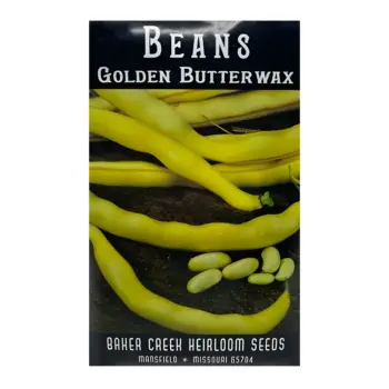 Bean Golden Butterwax