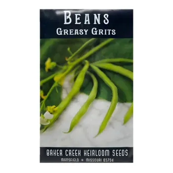 Bean Greasy Grits