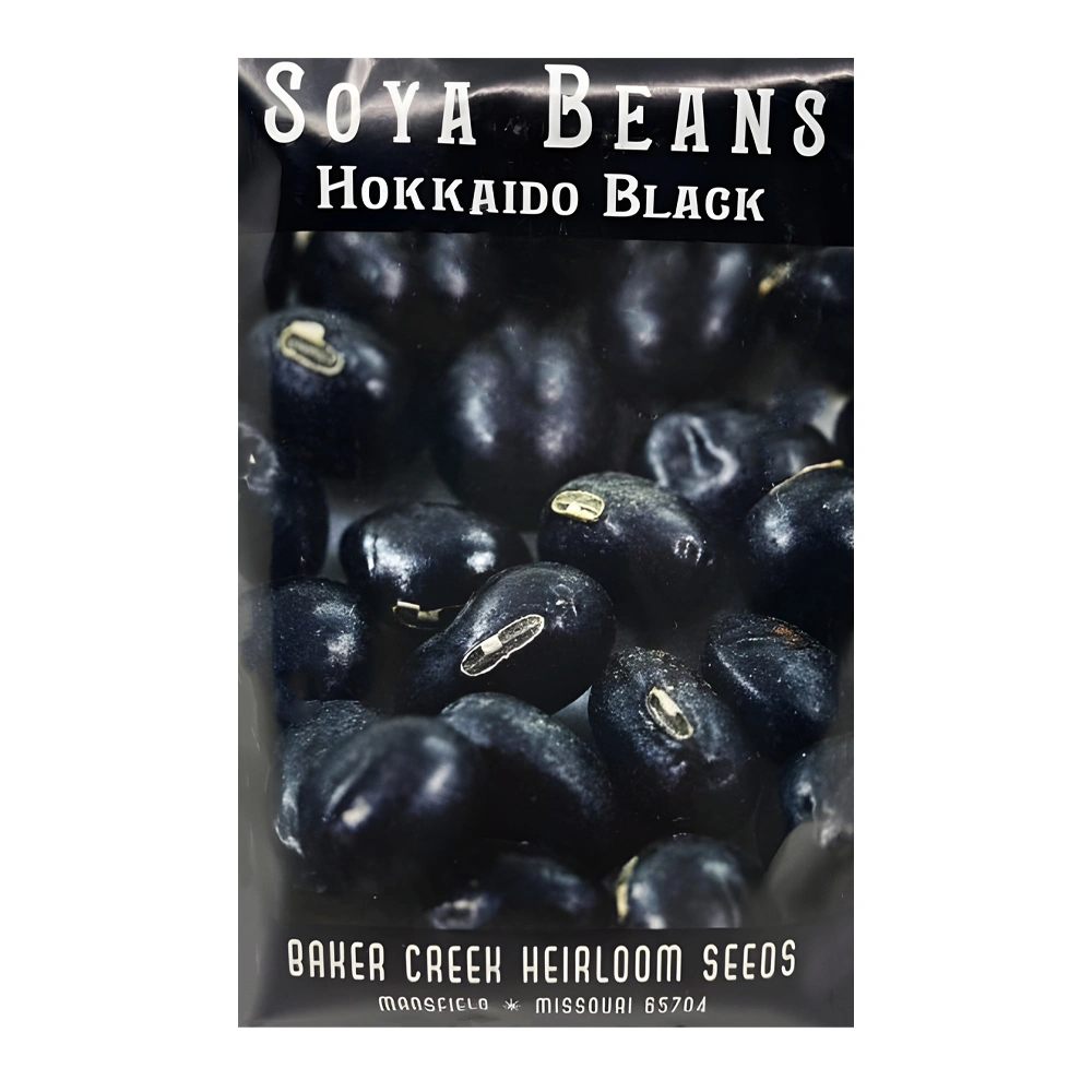 Bean Hokkaido Black Soybean 1 Bean Hokkaido Black Soybean