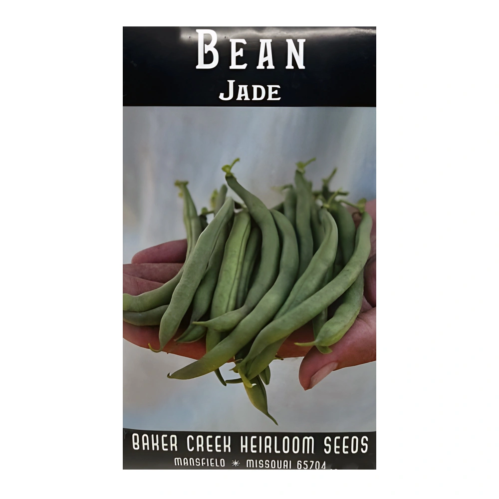 Bean Jade
