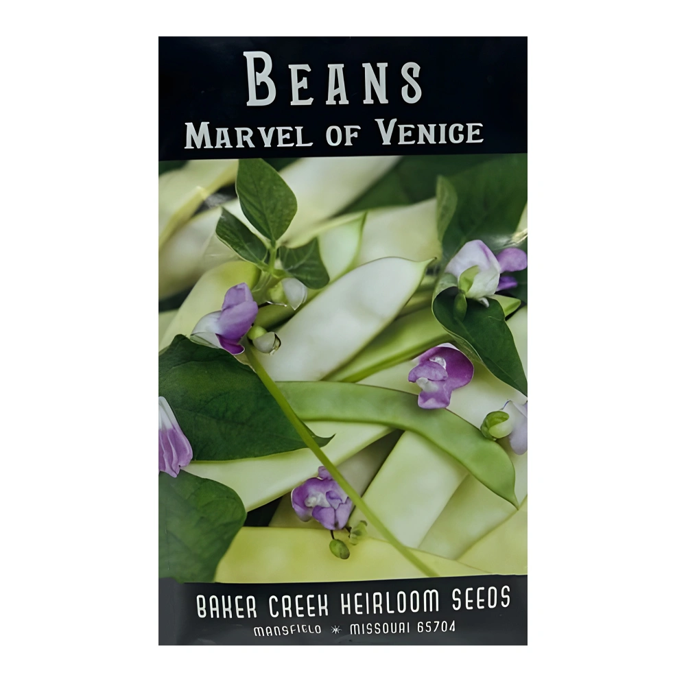 Bean Marvel of Venice 1 Bean Marvel of Venice