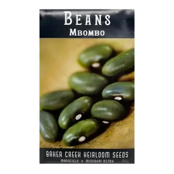 Bean Mbombo Green