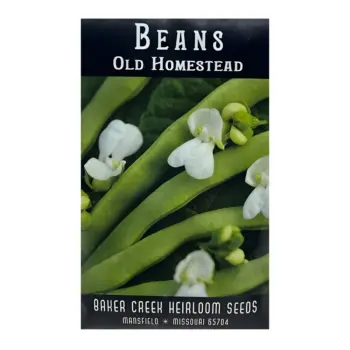 Bean Old Homestead (Kentucky Wonder)