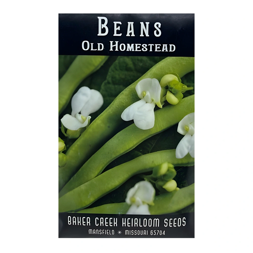 Bean Old Homestead (Kentucky Wonder) 1 Bean Old Homestead (Kentucky Wonder)