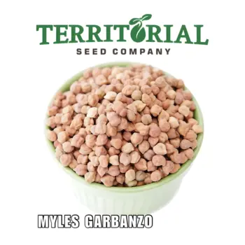 Bean Organic Myles Garbanzo Bush