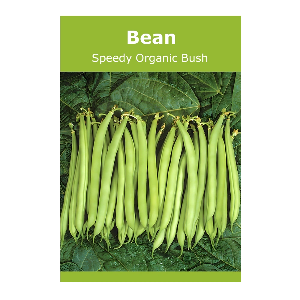 Bean Speedy Organic Bush 1 Bean Speedy Organic Bush