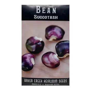 Bean Succotash