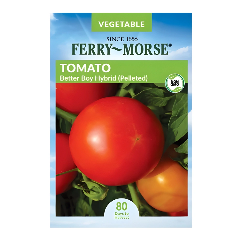 Better Boy Tomato Hybrid 1 Better Boy Tomato Hybrid