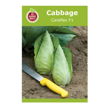 Cabbage Caraflex F1