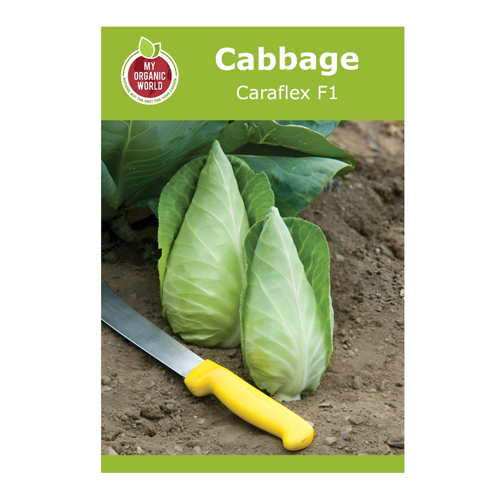 Cabbage Caraflex F1