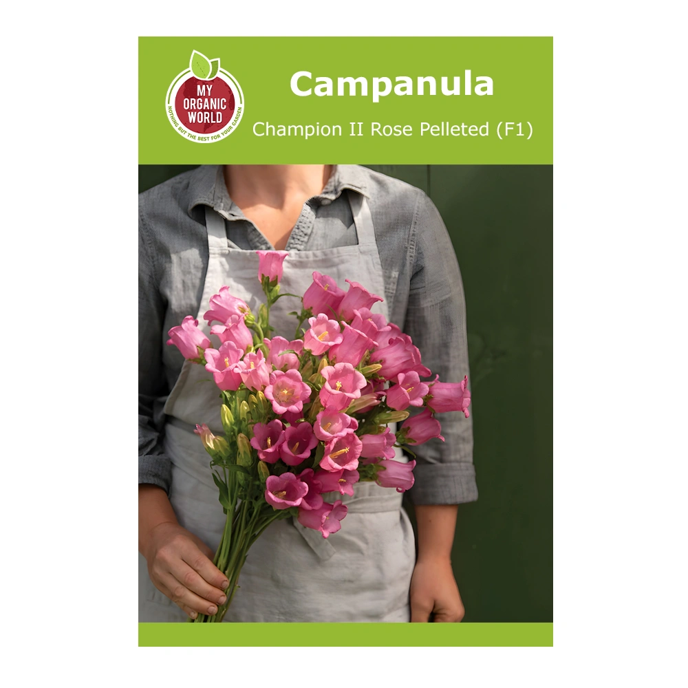 Campanula Champion II Rose Pelleted (F1)