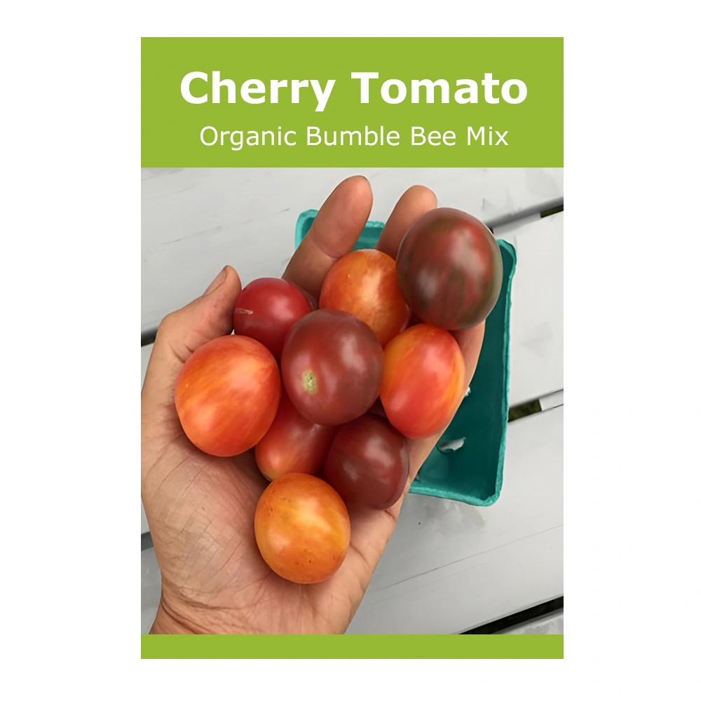 Cherry Tomato Organic Bumble Bee Mix 1 Cherry Tomato Organic Bumble Bee Mix