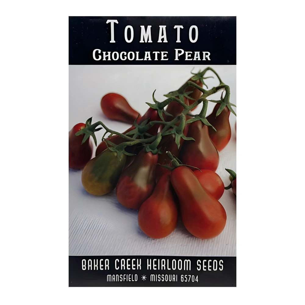 Chocolate Pear Tomato 1 Chocolate Pear Tomato
