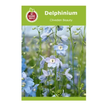 Cliveden Beauty Delphinium