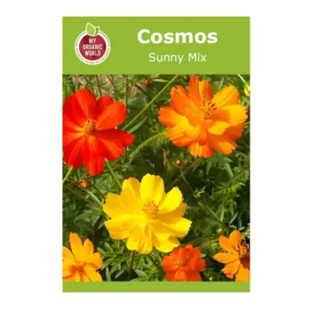 Cosmos Sunny Mix