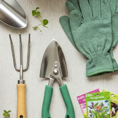 Essential Gardening Supplies for Success in Kuwait and the GCC