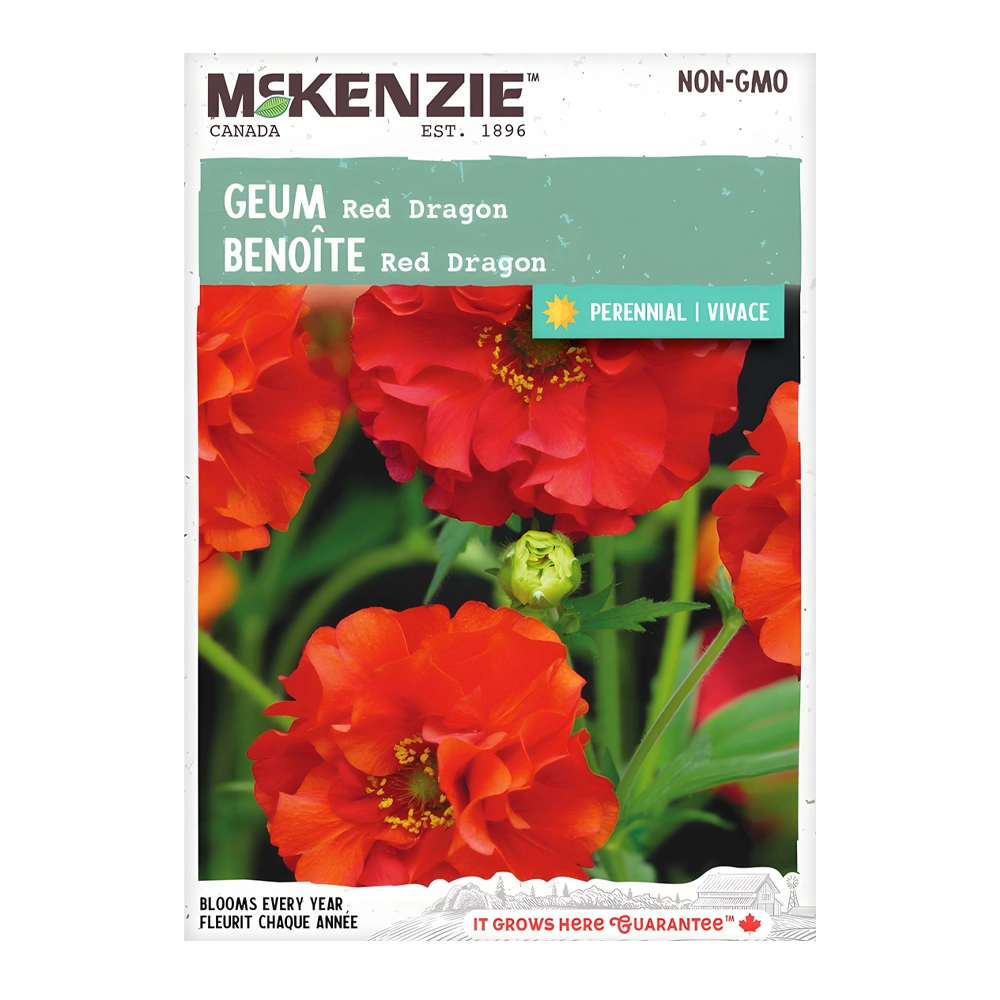 Geum Red Dragon 1 Geum Red Dragon