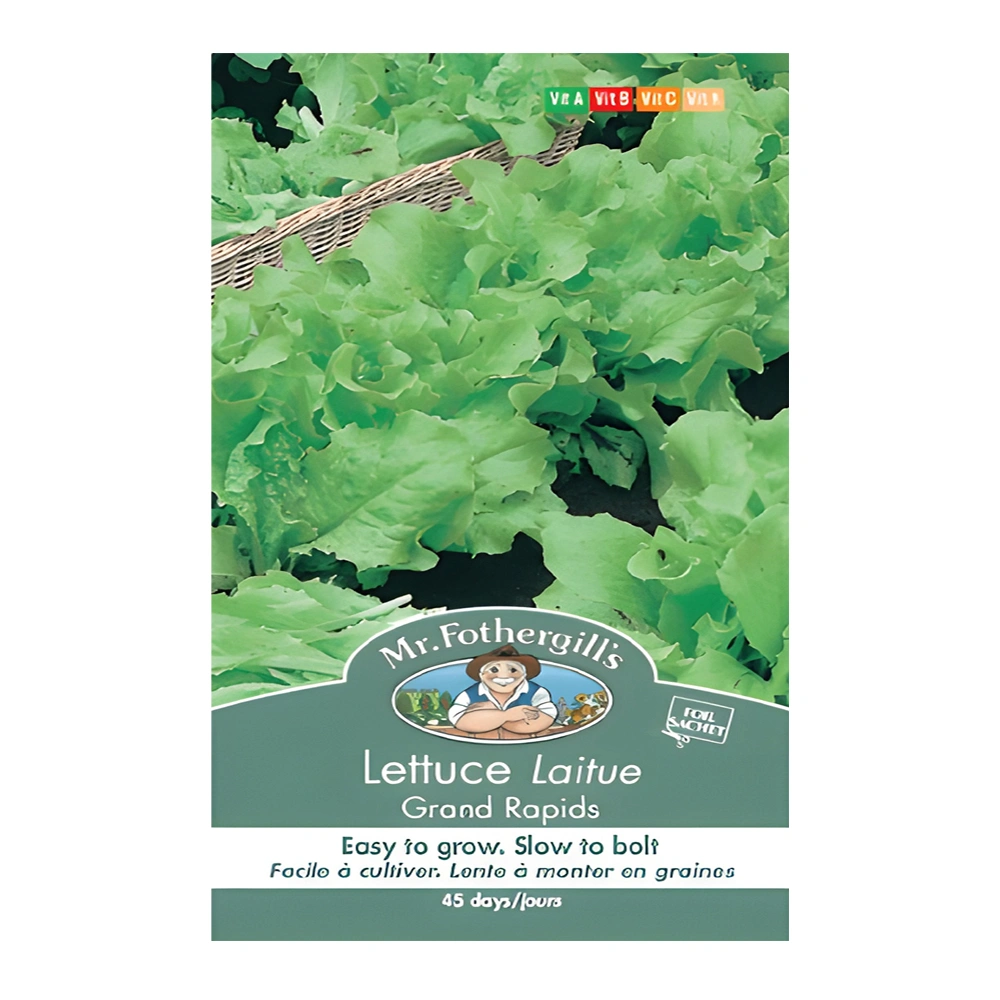 Lettuce Grand Rapids