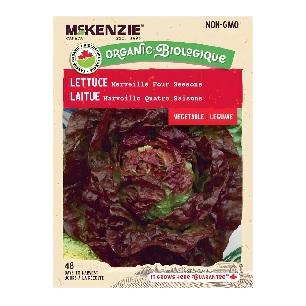 Lettuce Marveille Four Seasons Organic