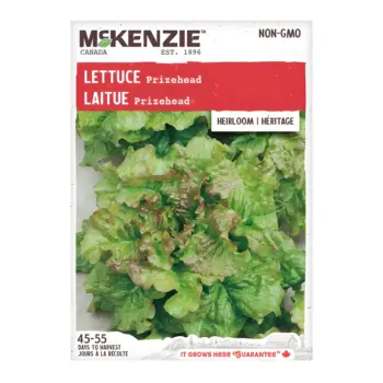 Lettuce Prizehead