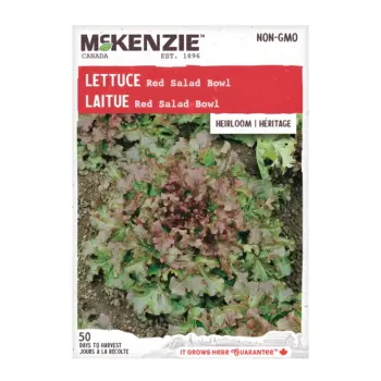 Lettuce Red Salad Bowl