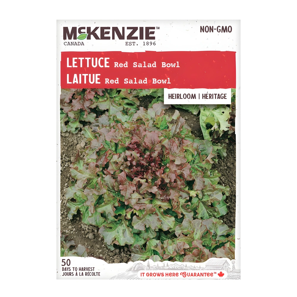 Lettuce Red Salad Bowl 1 Lettuce Red Salad Bowl