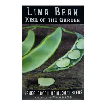 Lima Bean King of the Garden