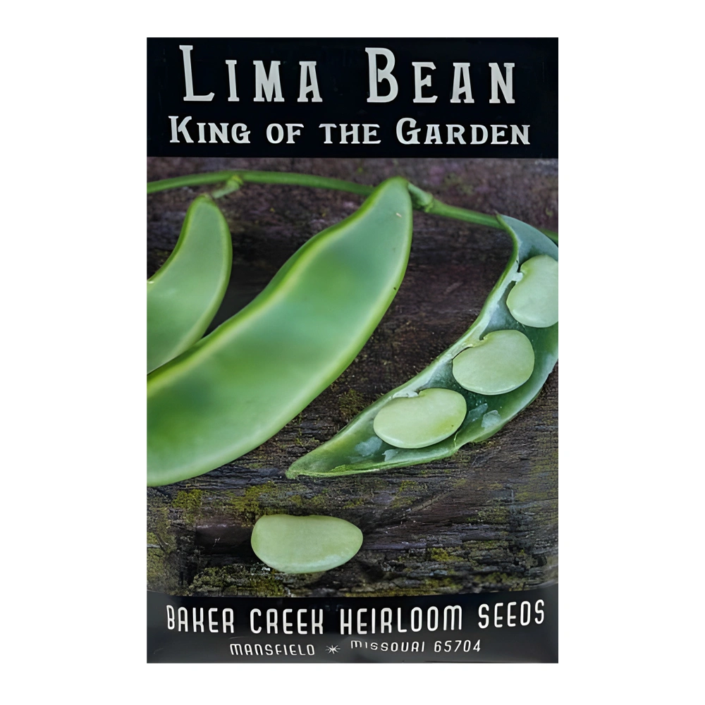 Lima Bean King of the Garden 1 Lima Bean King of the Garden