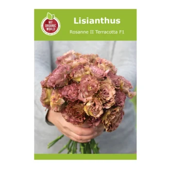 Lisianthus Rosanne II Terracotta F1