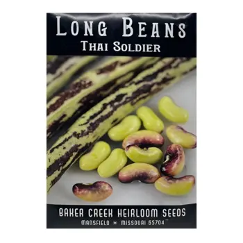 Long Bean Thai Soldier